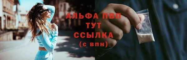 PSILOCYBIN Горно-Алтайск