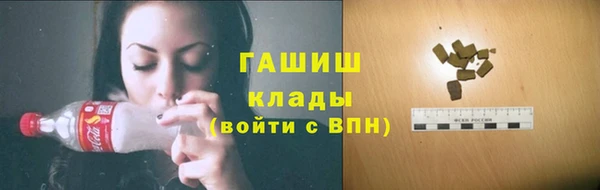 PSILOCYBIN Горно-Алтайск