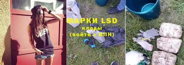 PSILOCYBIN Горно-Алтайск