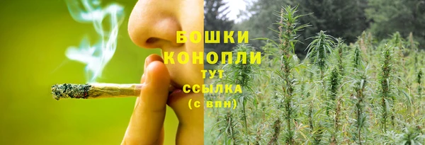 PSILOCYBIN Горно-Алтайск