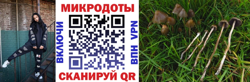 Галлюциногенные грибы Magic Shrooms  Купить закладки  Любань 